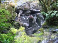 Albums/20060200-New Zealand 2006/20060210-Te Anau to Milford/21